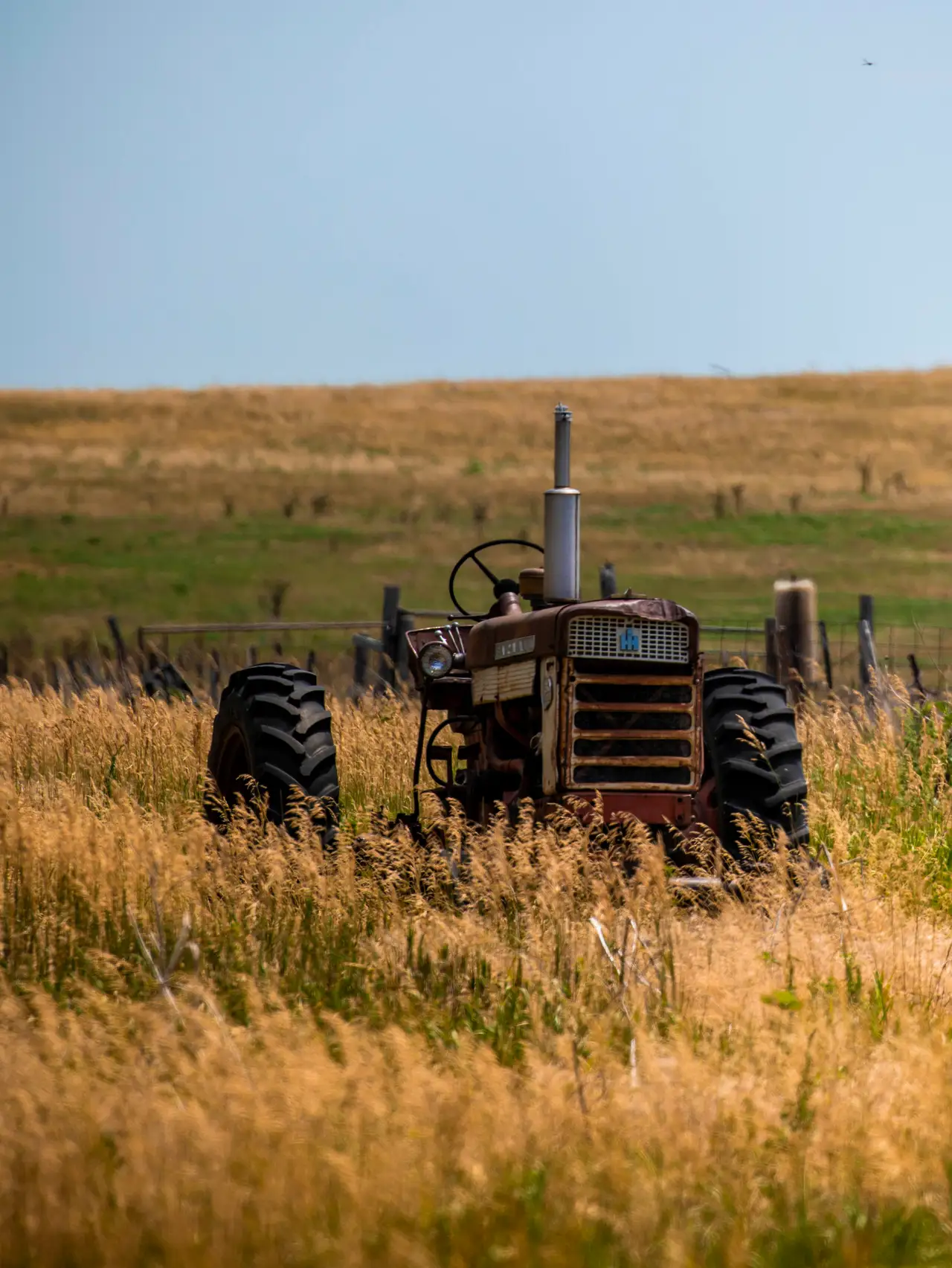Fine-art photograph, “Vintage Tractor in Tall Grass - 5DM41612,” from the South Dakota collection.
