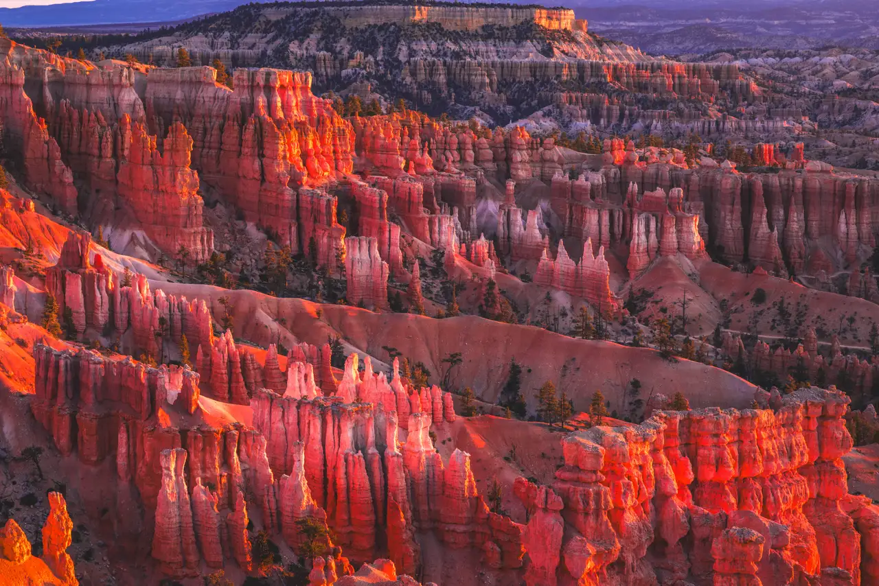 Fine-art photograph, “Bryce Canyon Hoodoos in Evening Light - 5M2A6385,” from the Utah collection.