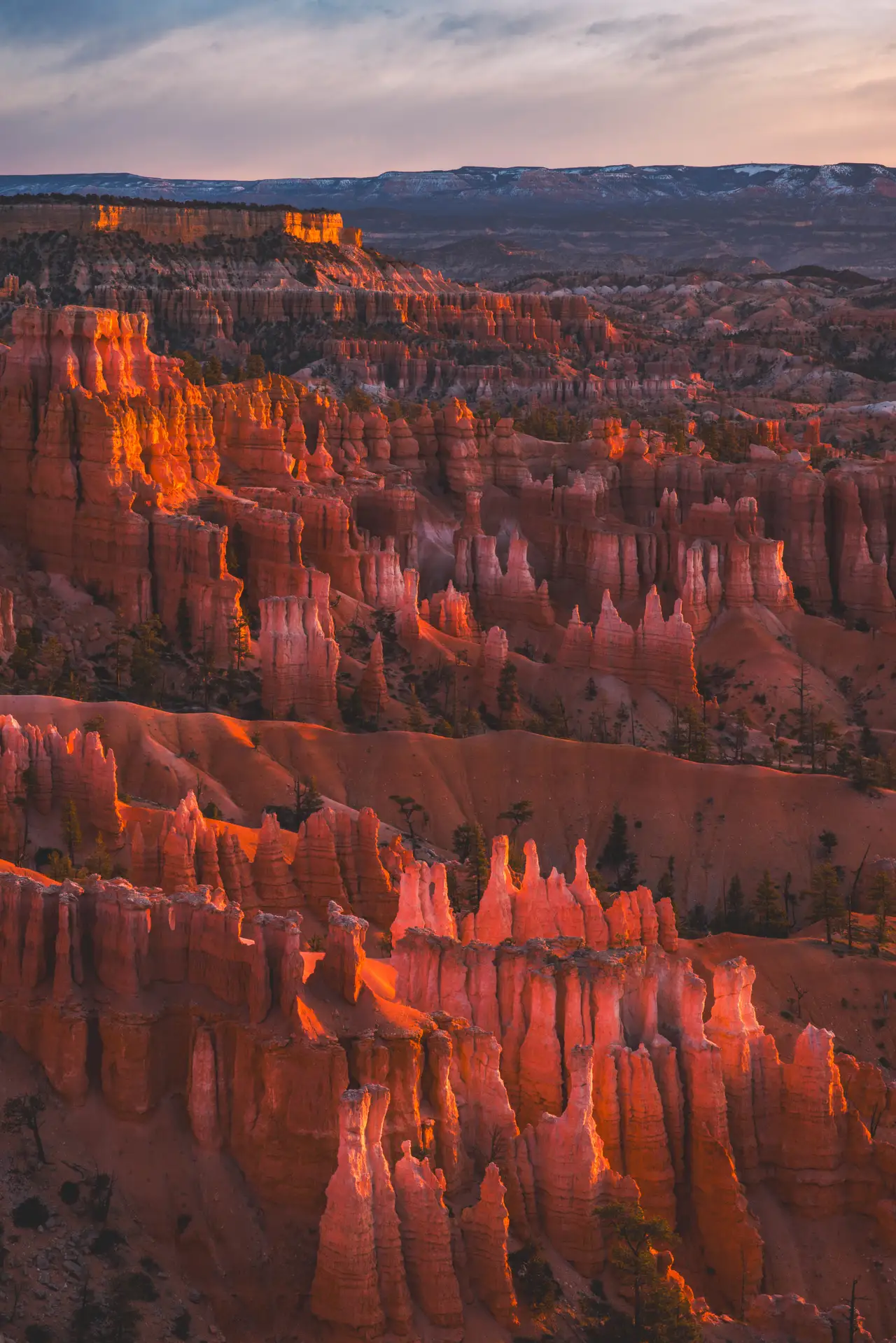 Fine-art photograph, “Bryce Canyon Canyon in Vertical - 5M2A6391,” from the Utah collection.