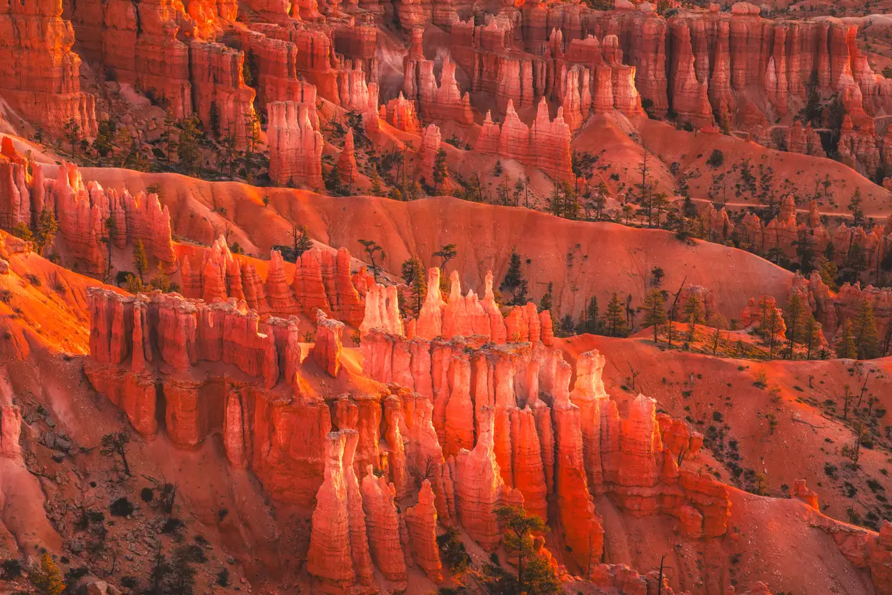 Fine-art photograph, “Bryce Canyon Hoodoos in Warm Light - 5M2A6392,” from the Utah collection.