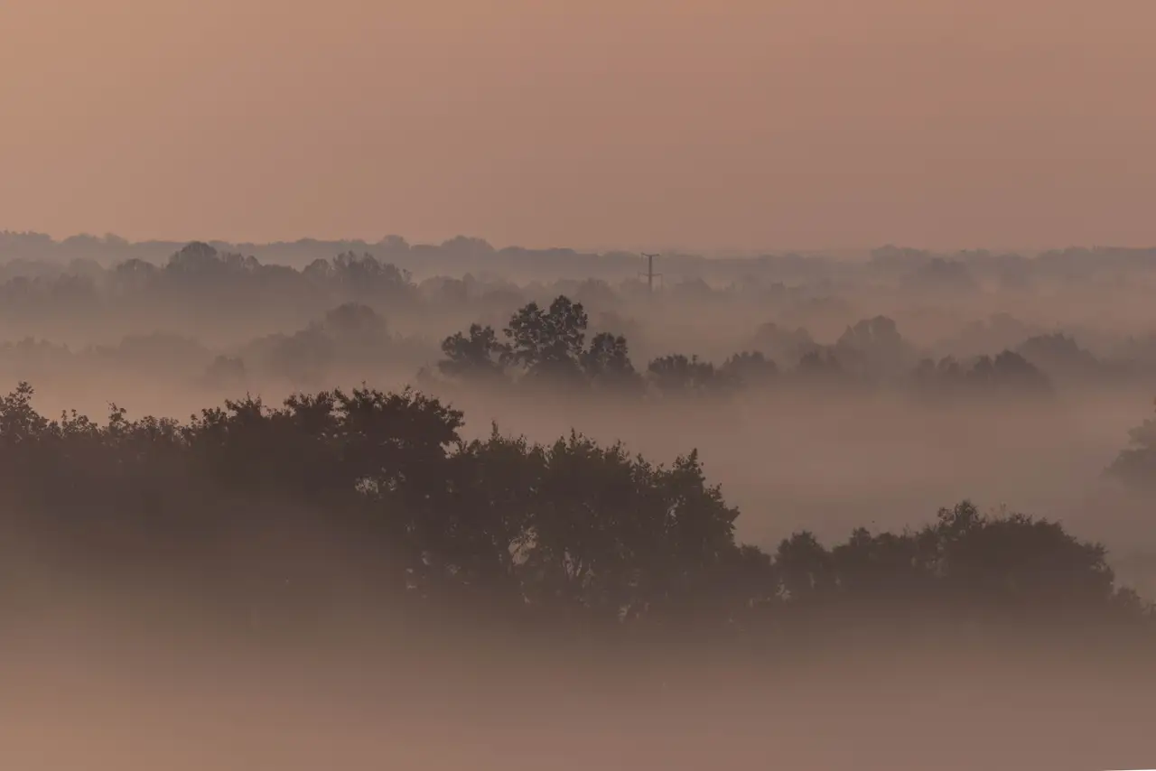 Fine-art photograph, “Morning Fog Over Virginia Fields - 5M2A2989,” from the Virginia - non city collection.