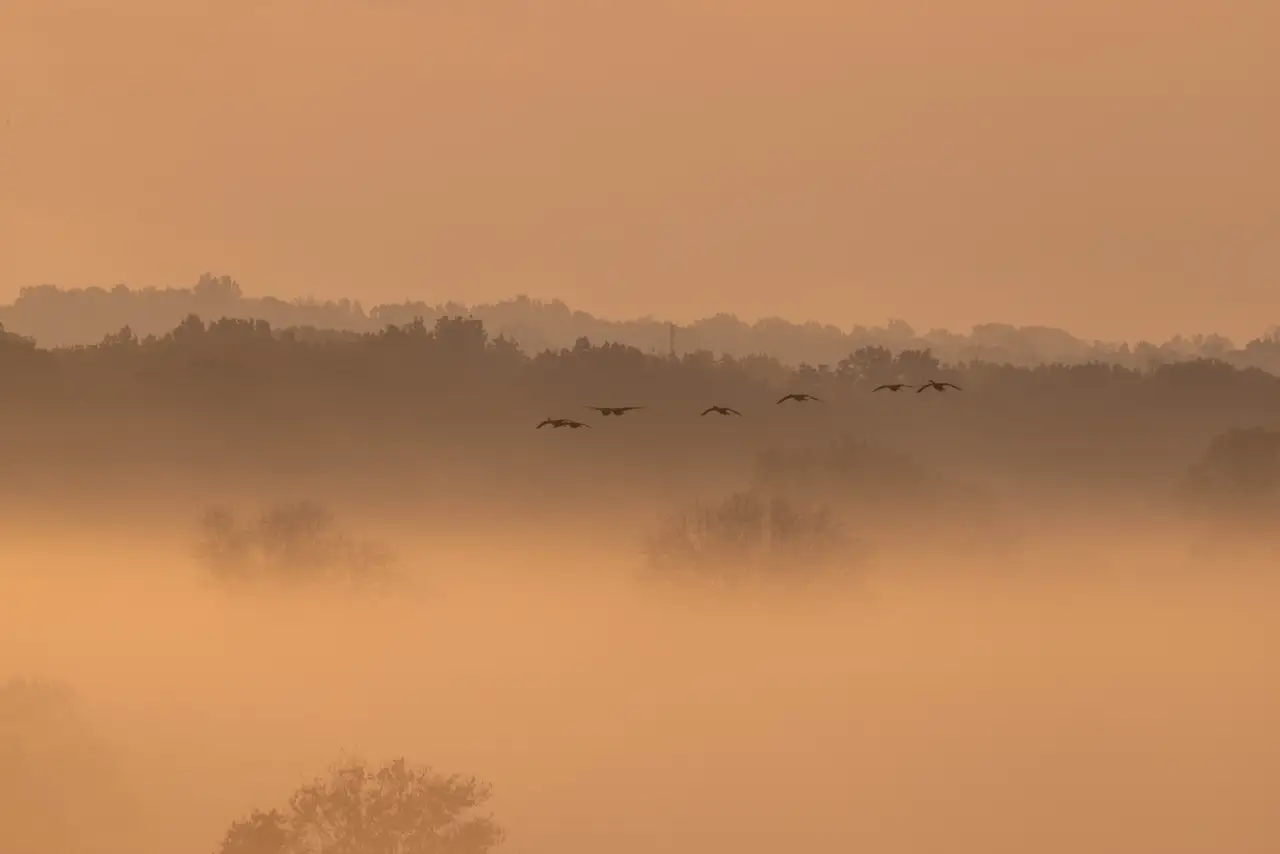 Fine-art photograph, “Foggy Lake at Sunrise - 5M2A3025,” from the Virginia - non city collection.