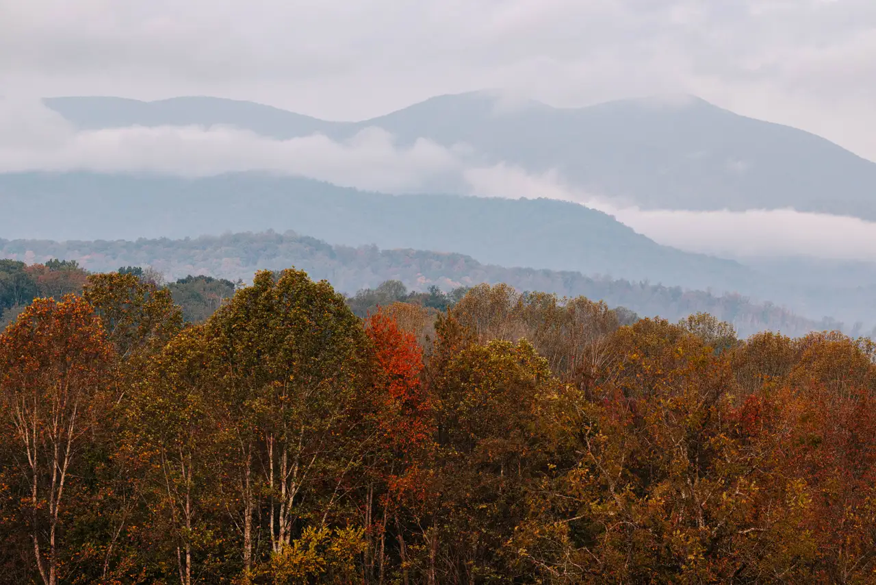 Fine-art photograph, “Blue Ridge Mountains and Fall Color - 5M2A3067,” from the Virginia - non city collection.