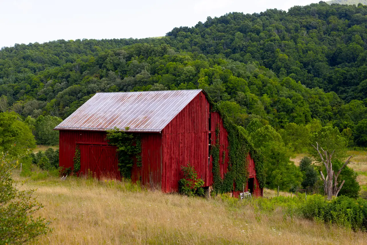 Fine-art photograph, “Virginia Red Barn in the Meadow - FIV2224,” from the Virginia - non city collection.