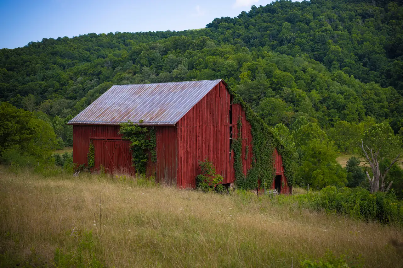 Fine-art photograph, “Virginia Red Barn in Evening Light - FIV2228,” from the Virginia - non city collection.