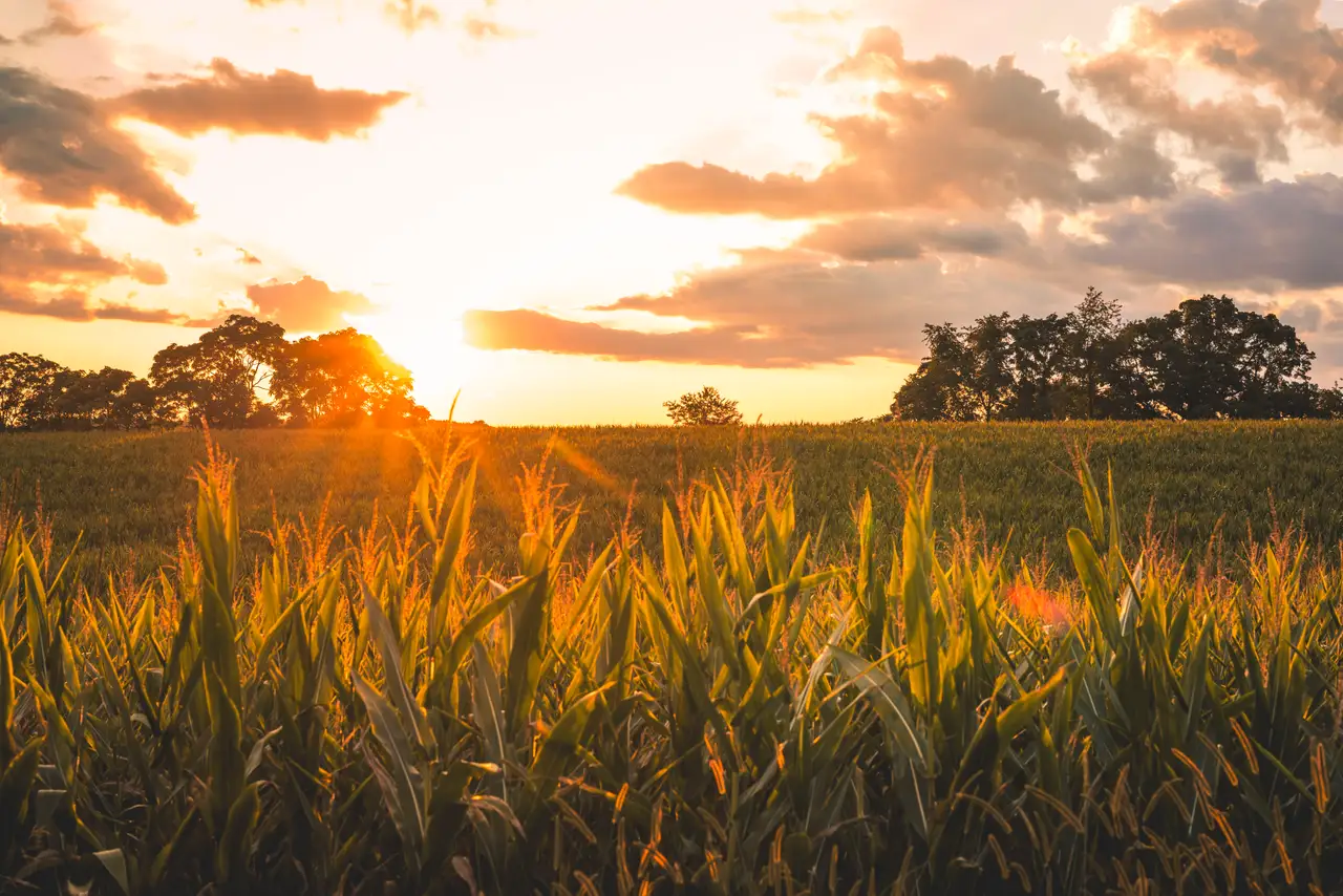Fine-art photograph, “Virginia Pasture at Sunset - FIV2287,” from the Virginia - non city collection.