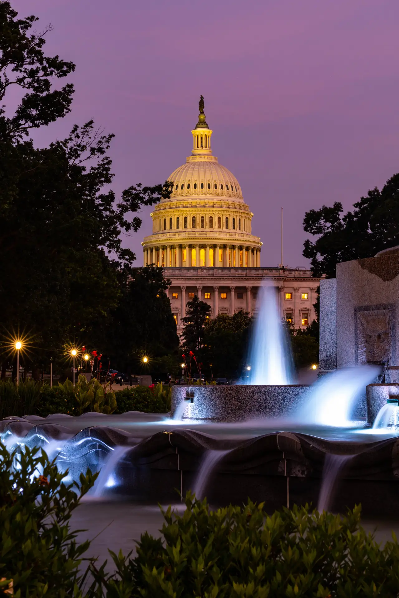 Fine-art photograph, “U.S. Capitol Framed by Garden Flowers - FIV6363,” from the Washington D.C. collection.