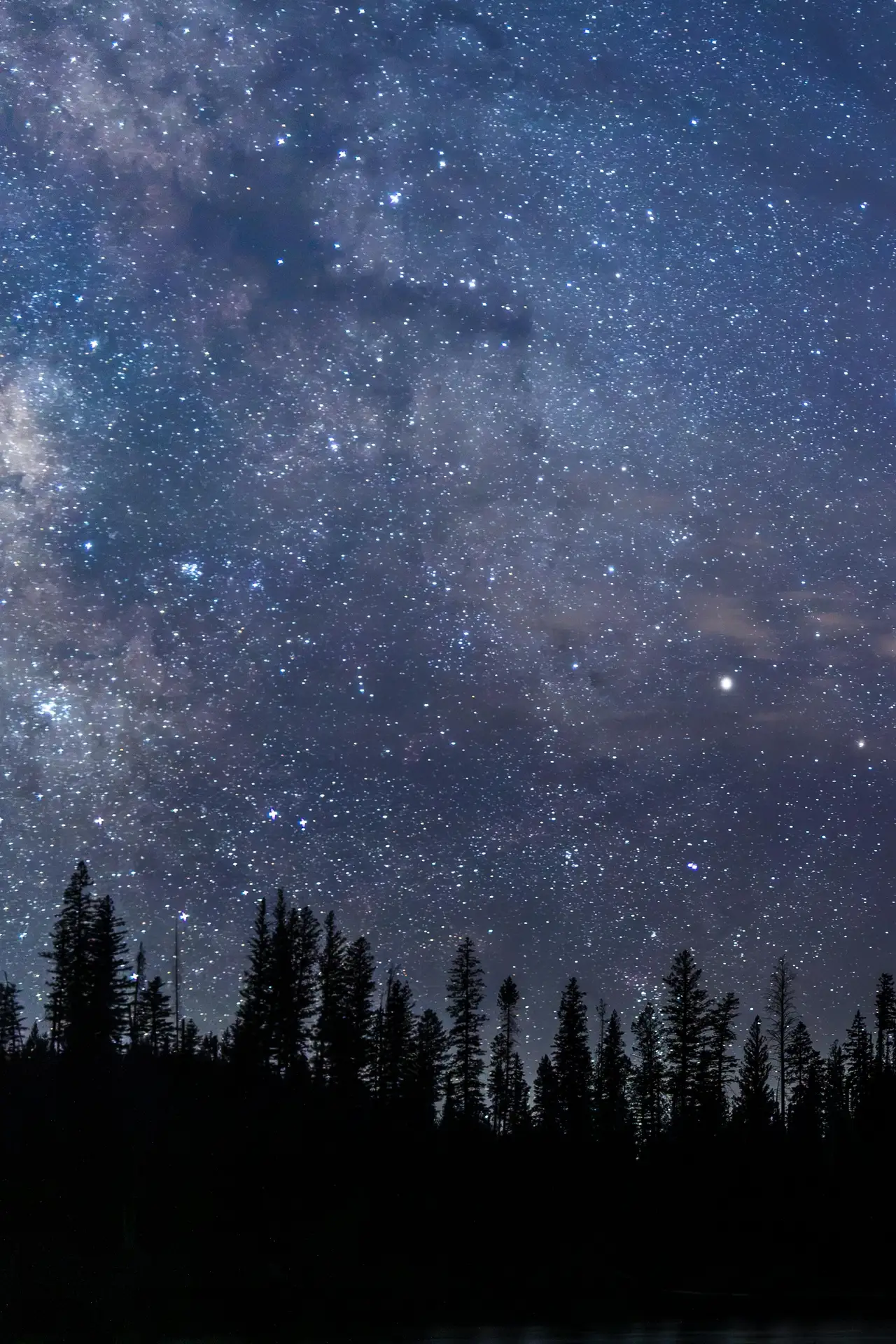 Fine-art photograph, “Milky Way Over the Forest,” from the Wyoming collection.
