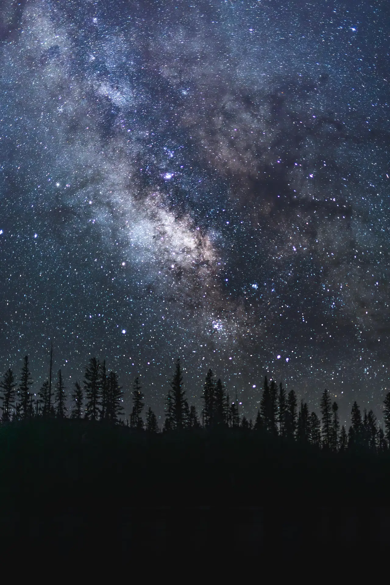 Milky Way Over the Treeline, centered crop for 18 × 24 in.