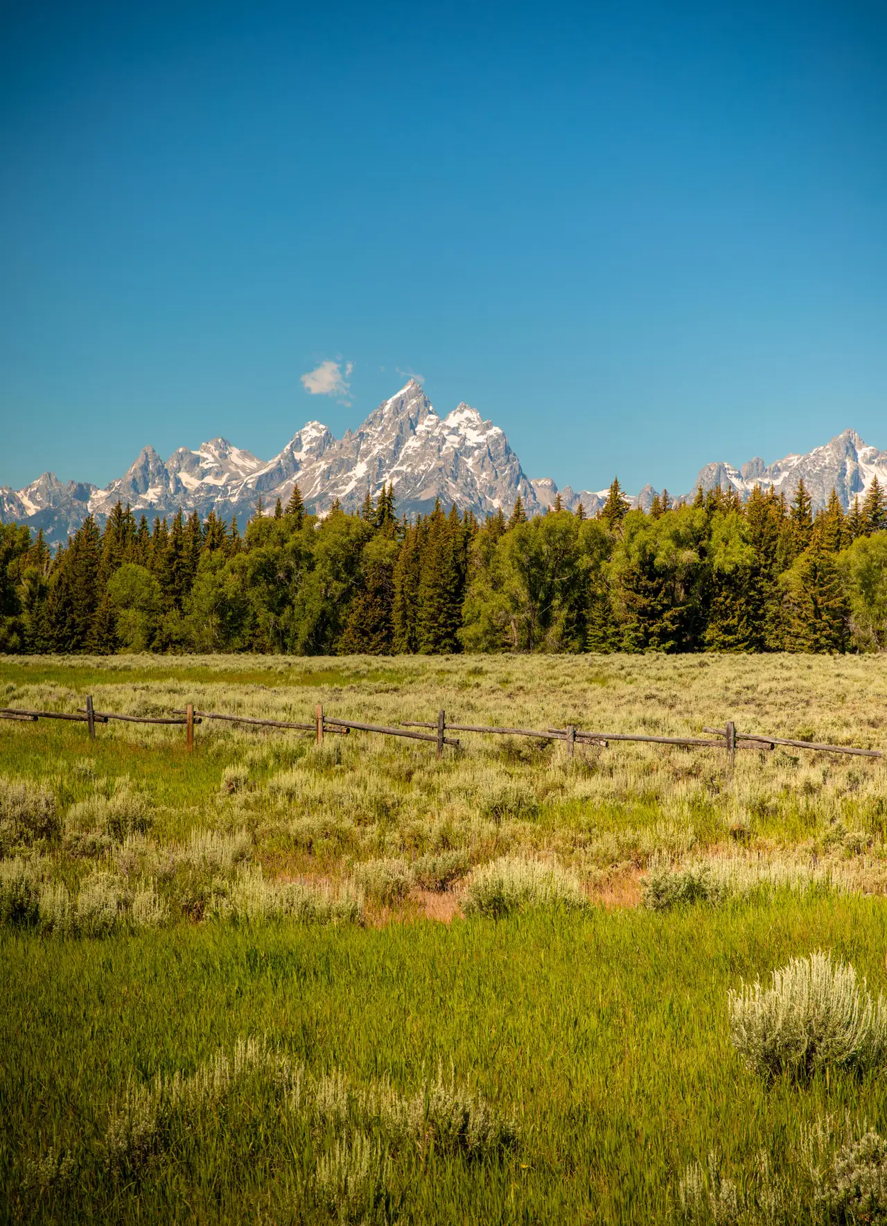 Tetons and Wild Grass, centered crop for 18 × 24 in.