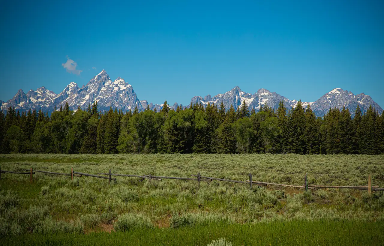 Tetons Above the Sage Meadow, centered crop for 18 × 24 in.