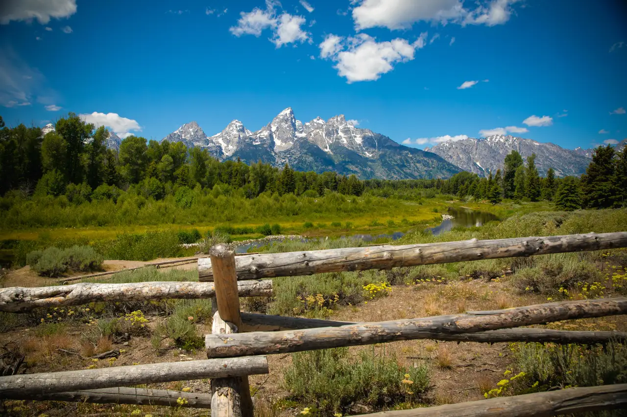 Teton Range Above the Meadow, centered crop for 18 × 24 in.