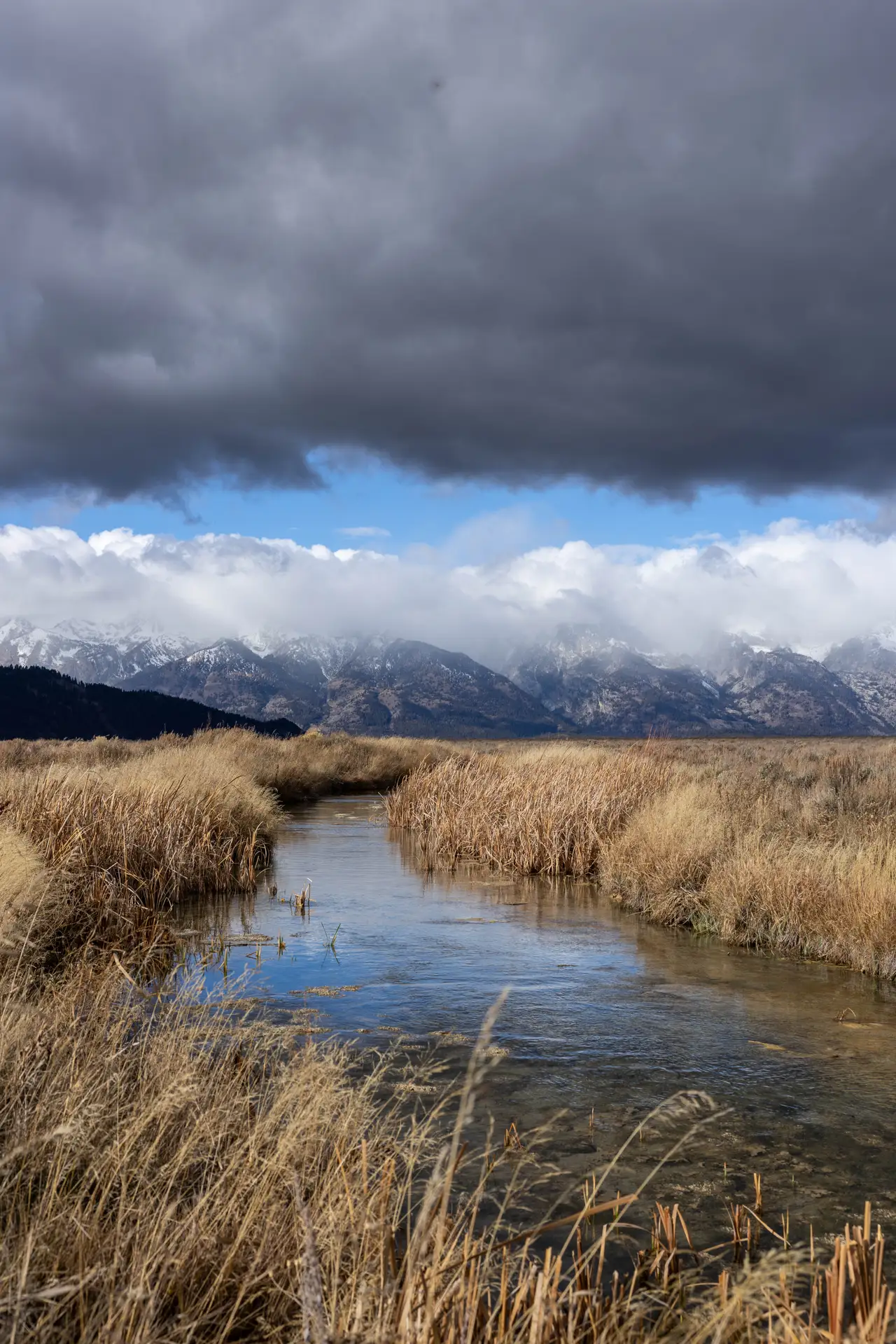 Fine-art photograph, “Teton Creek in Vertical - 5M2A4307,” from the Wyoming collection.