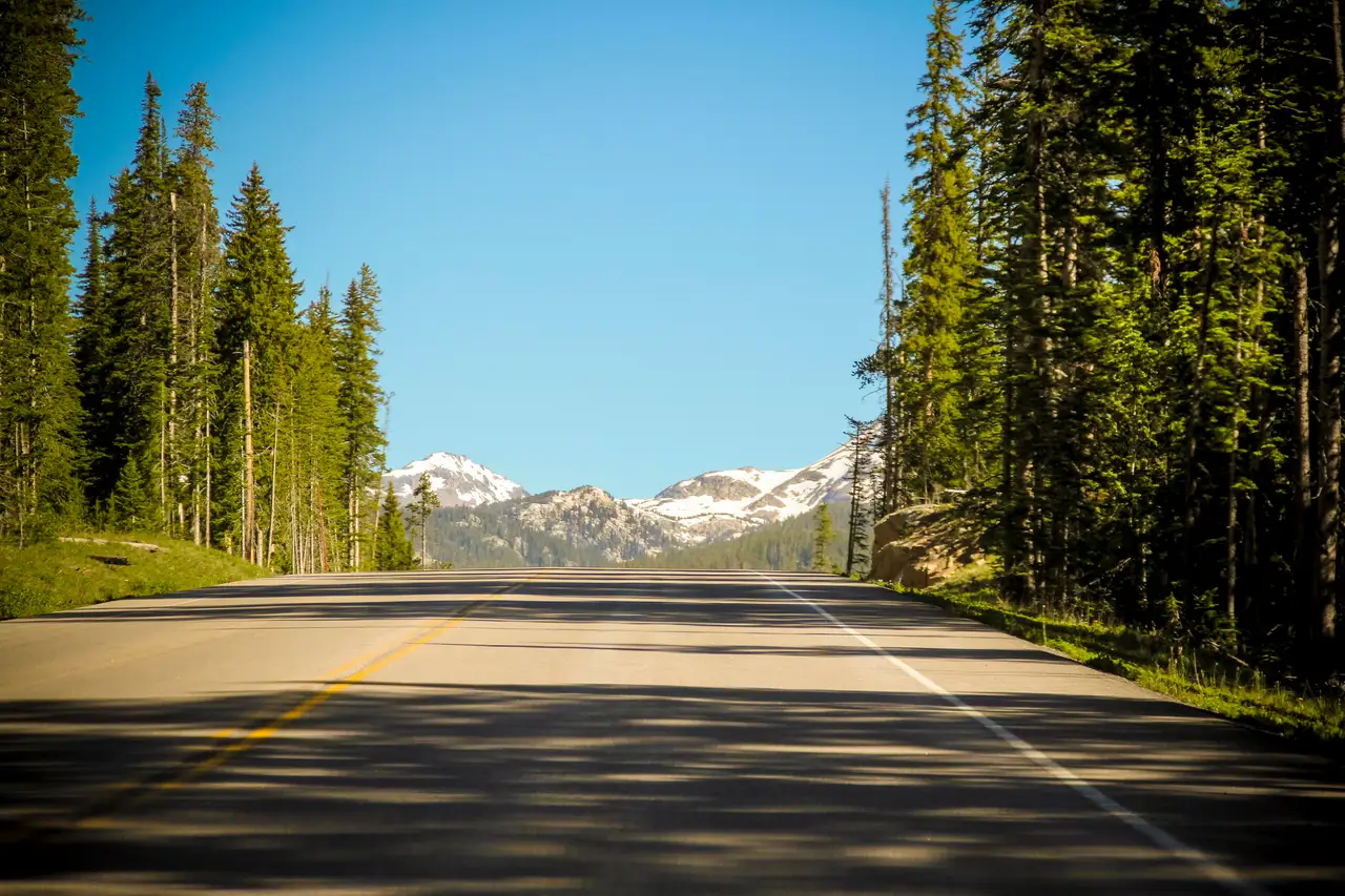 Fine-art photograph, “Teton Meadow Trail - IMG 0324,” from the Wyoming collection.